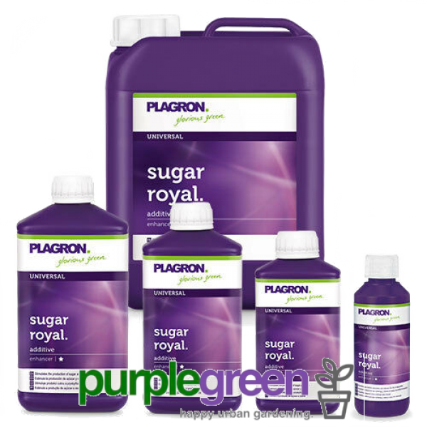 plasgron Sugar Royal organischer Blühstimulator purplegreen linz plasgron Sugar Royal organischer Blühstimulator purplegreen linz